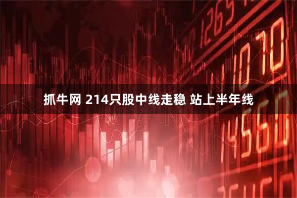 抓牛网 214只股中线走稳 站上半年线