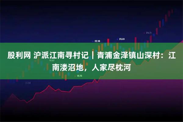 股利网 沪派江南寻村记｜青浦金泽镇山深村：江南溇沼地，人家尽枕河